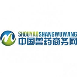 計(jì)算機(jī)軟硬件技術(shù)開(kāi)發(fā) 企業(yè)核心競(jìng)爭(zhēng)力的構(gòu)建與未來(lái)展望